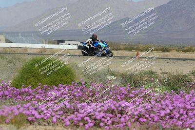 media/Feb-04-2023-SoCal Trackdays (Sat) [[8a776bf2c3]]/Turn 15 Inside Blooming (1050am)/